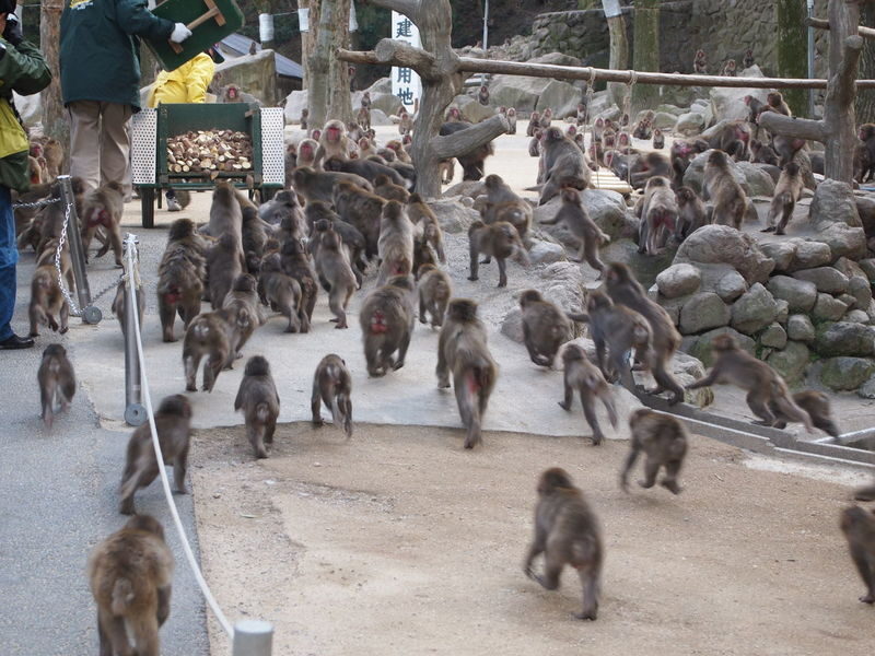 Beppu & Yufuin & Oita Private Car Tour with Driver - Booking details that can prevent a muddle