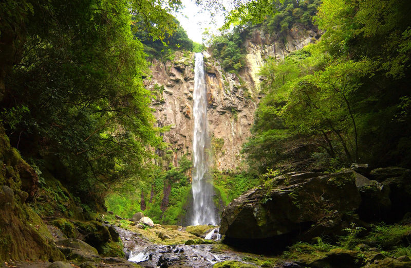 Beppu & Yufuin & Oita Private Car Tour with Driver - Should you book this Beppu and Yufuin car charter?