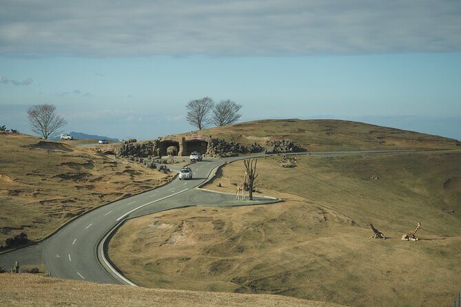 Beppus Best: African Safari and Beppu Hells Private Tour - Exploring Beppu and Yufuin: The Geothermal and Serenity Stops