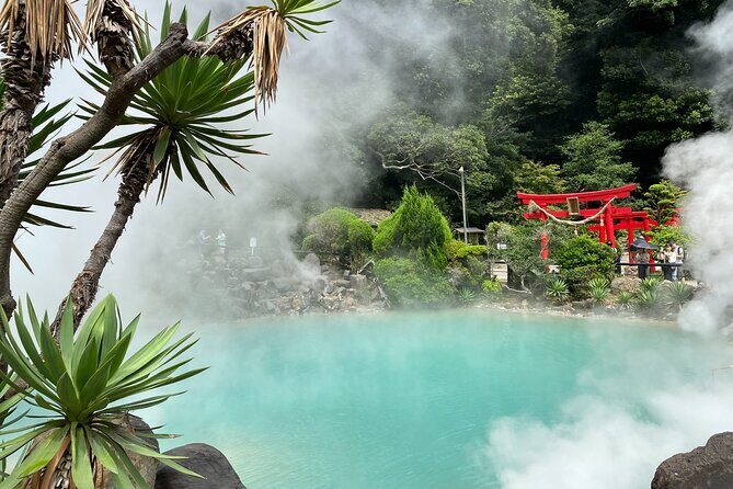 Beppus Best: African Safari and Beppu Hells Private Tour - Is This Tour Worth It?