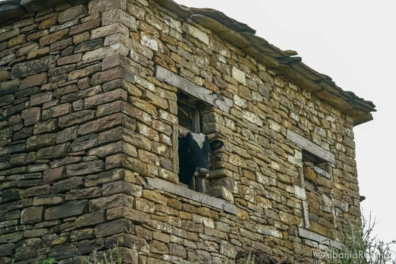 Berat: 3-Day Tomorr Mountain Camping Adventure - FAQ