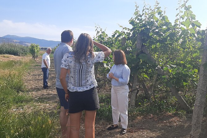 Berat Wine Tour: Discovering Pupa Winery & Savoring Local Flavors - Good To Know