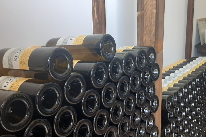 Berat Wine Tour: Discovering Pupa Winery & Savoring Local Flavors - Guided Vineyard Tour