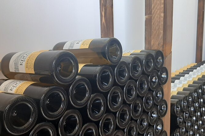 Berat Wine Tour: Discovering Pupa Winery & Savoring Local Flavors - Booking Information