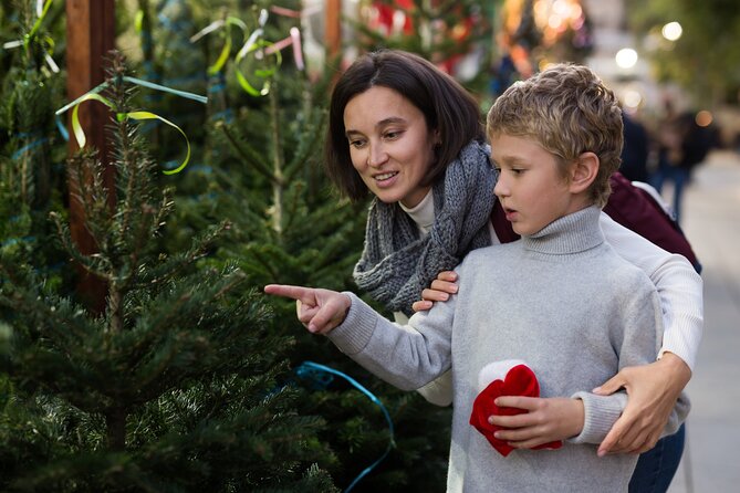 Berat's Christmas Magic: A Festive Walk - Good To Know