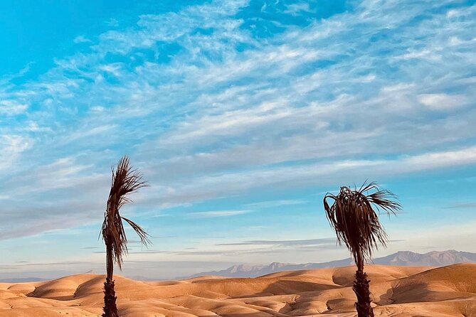 Berber Dinner In Marrakech Agafay Desert Sunset Camel Ride - Frequently Asked Questions