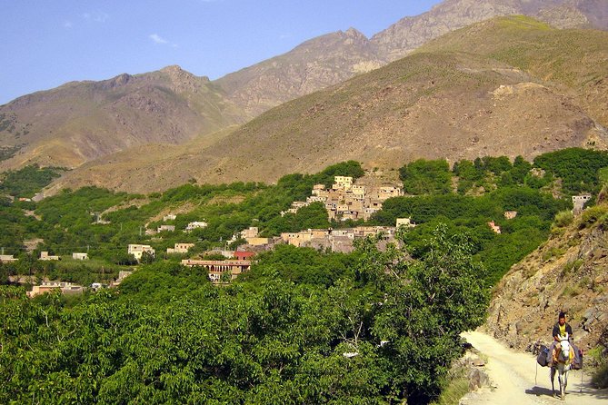 Berber Life Cooking and Culture Experience - Customer Satisfaction and Feedback