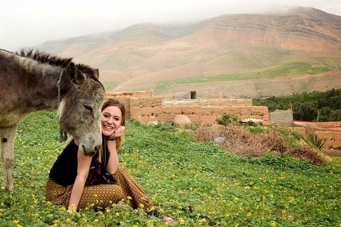 Berber Life Experience In The Atlas Mountains Day Tour From Marrakech - Price and Booking Information