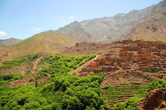 Berber Life Experience In The Atlas Mountains Day Tour From Marrakech - Contact and Customer Support