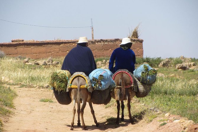 Berber Life Experience in the Atlas Mountains From Marrakech - Cancellation Policy