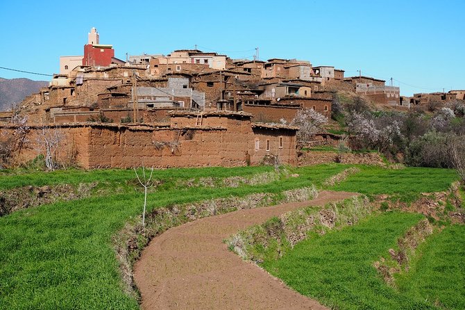 Berber Life Experience in the Atlas Mountains From Marrakech - Experience Highlights