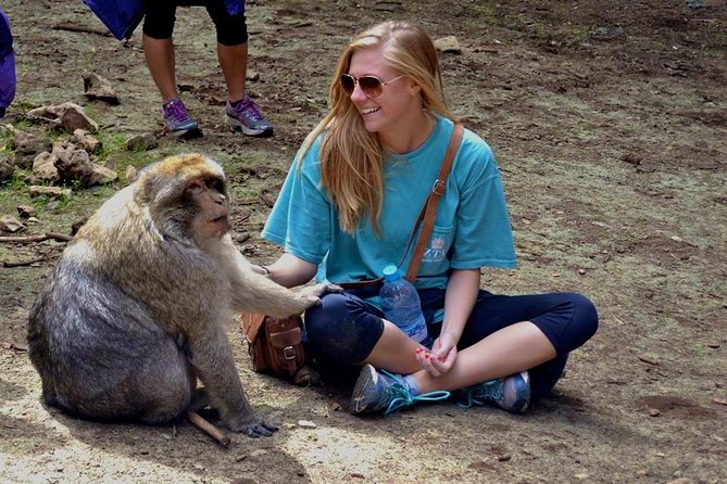Berber Middle Atlas Day Trips - Cultural Immersion in Berber Villages