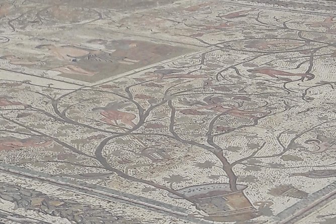 Berber Roman Day Tour""Uthina"Roman Aqueducts/Takrouna"From Tunis or Hammamet - The Sum Up
