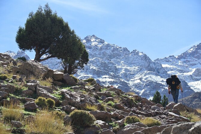 Berber Trails and Atlas Mountains Day Trip Including Lunch From Marrakech - Pricing Details