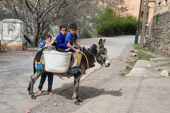 Berber Village Retreat: A Tranquil Escape to the Atlas Mountains - Frequently Asked Questions
