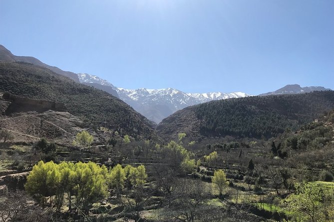 Berber Villages Trek Day Trip - Tips for a Successful Berber Villages Trek