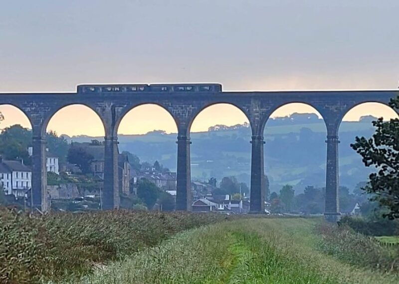 Bere Alston: Guided Walk to Bere Ferrers - What Makes This Walk Stand Out?