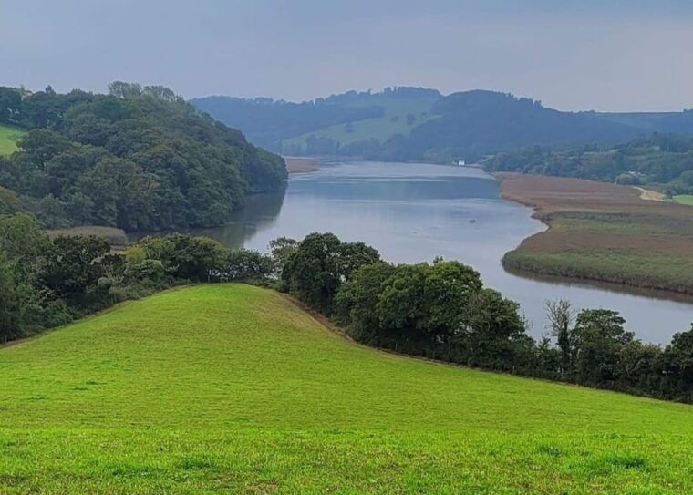 Bere Alston: Guided Walk to Bere Ferrers - The Practicalities: Price, Duration, and Tips