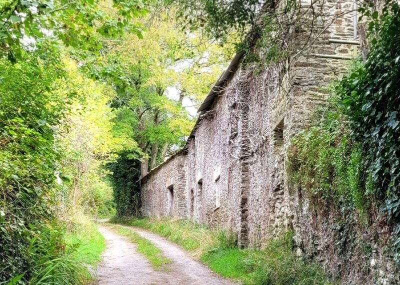 Bere Ferrers: Guided Walk to Tamerton Foliot - Good To Know
