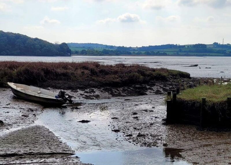 Bere Ferrers: Guided Walk to Tamerton Foliot - What to Expect on the Day
