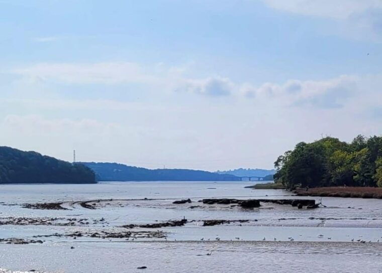 Bere Ferrers: Guided Walk to Tamerton Foliot - The Sum Up