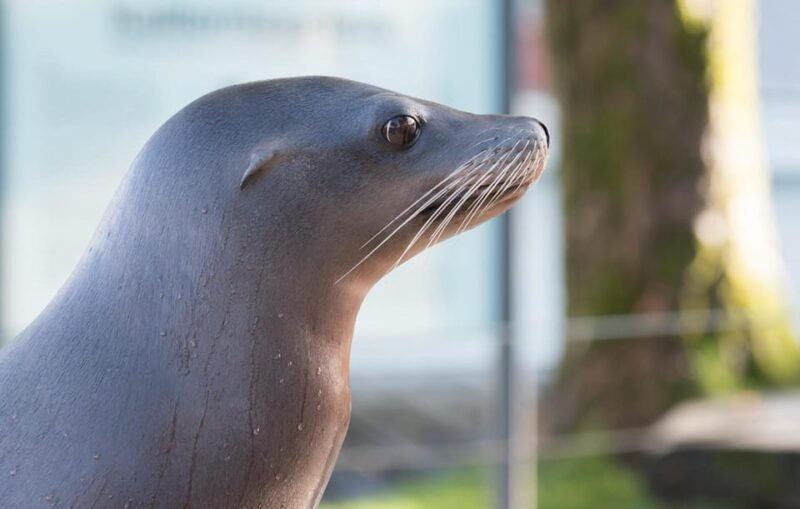 Bergen: Bergen Aquarium Entry Ticket - Who Should Visit Bergen Aquarium?