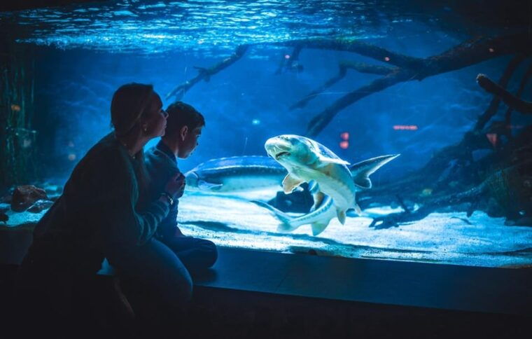 Bergen: Bergen Aquarium Entry Ticket - Final Thoughts