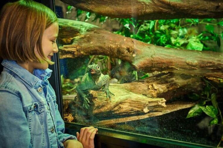 Bergen: Bergen Aquarium Entry Ticket - FAQ