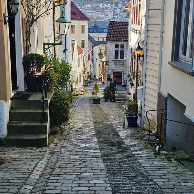Bergen: Best of the City Guided Walking Tour - Mount Fløyen: Panoramic Views and Scenic Break