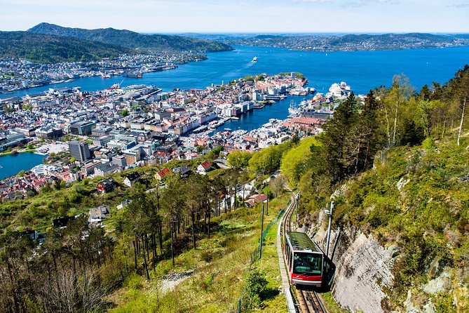 Bergen by Car Private Tour With Local Food Tasting - Tour Highlights