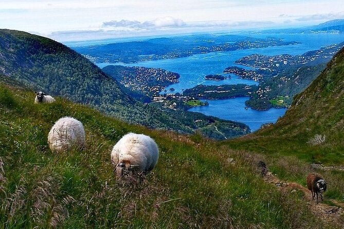 Bergen Classic Private Hiking - Directions