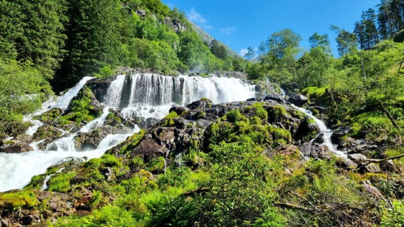 Bergen: Cruise to beautiful Rosendal by the Hardangerfjord - The Charm of Rosendal Village