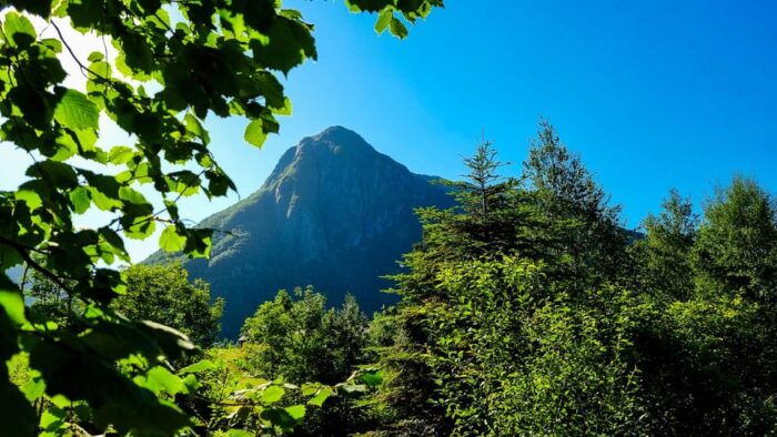 Bergen: Cruise to beautiful Rosendal by the Hardangerfjord - Price and Value