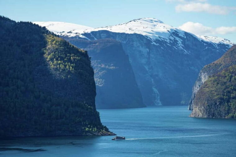 Bergen: Flam Railway, Stegastein and Fjord Cruise Day Tour - The Details That Matter: Transportation and Comfort