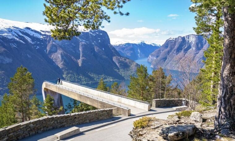 Bergen: Flam Railway, Stegastein View Point and Fjord Cruise - Who Will Love This Tour?