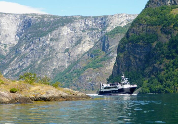 Bergen: Guided Fjord & Cidery Tour to Balestrand - Who Will Love This Tour?