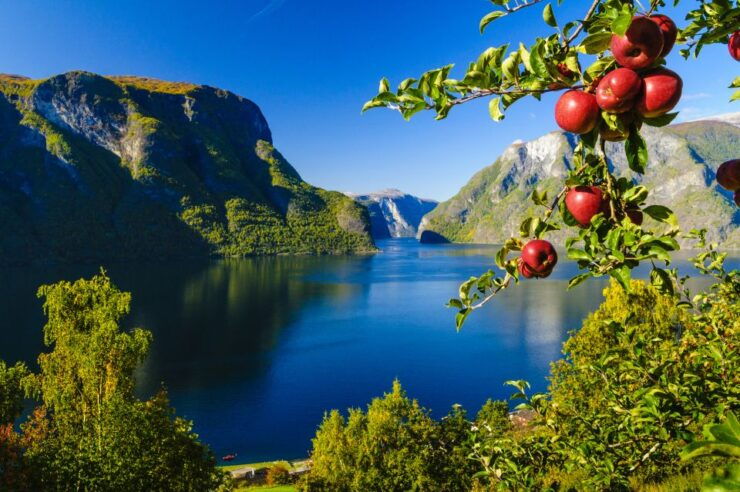 Bergen: Guided Full-Day Tour to Naeröyfjord and Flåm Railway - Experience Highlights