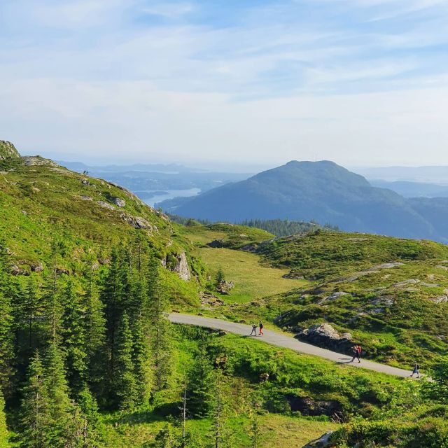 Bergen: Guided mountain hike on top of Bergen - An In-Depth Look at the Bergen Mountain Hike