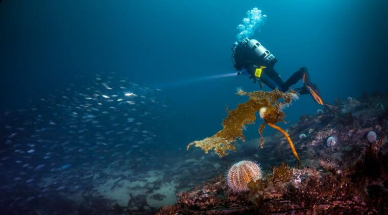 Bergen: Guided Scuba Diving - Who Should Consider This Experience?