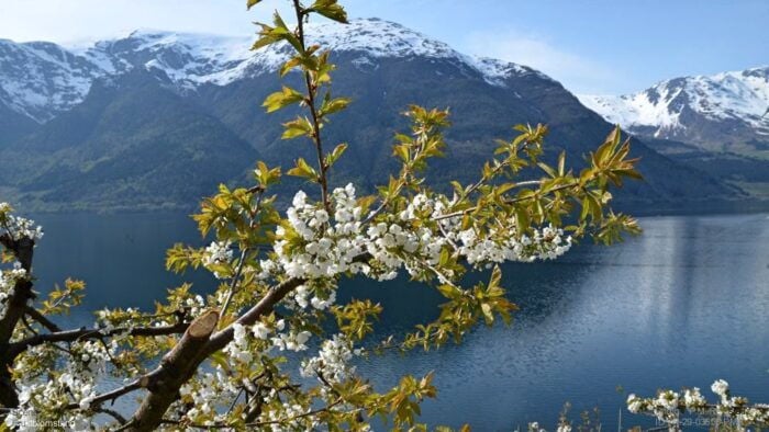 Bergen: Hardangerfjord, Voss Gondola & 3 Great Waterfalls - FAQs