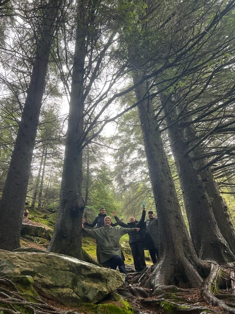 BERGEN I Fløyen Activo - Magical Nature - Hiking Tour - Customer Reviews