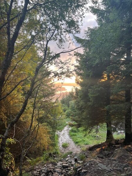 BERGEN I Fløyen Activo - Magical Nature - Hiking Tour - Tour Duration and Availability