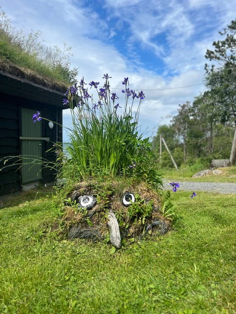 Bergen Magical Nature Tour | ViFlowExperience - Good To Know