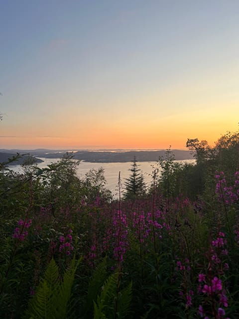 Bergen Magical Nature Tour | ViFlowExperience - What Makes This Tour Special?