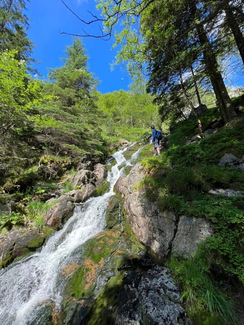 Bergen Magical Nature Tour | ViFlowExperience - Final Thoughts