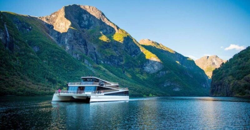 Bergen: Nærøyfjord Cruise and Flåm Railway Ride to Oslo - What’s Included and What to Consider