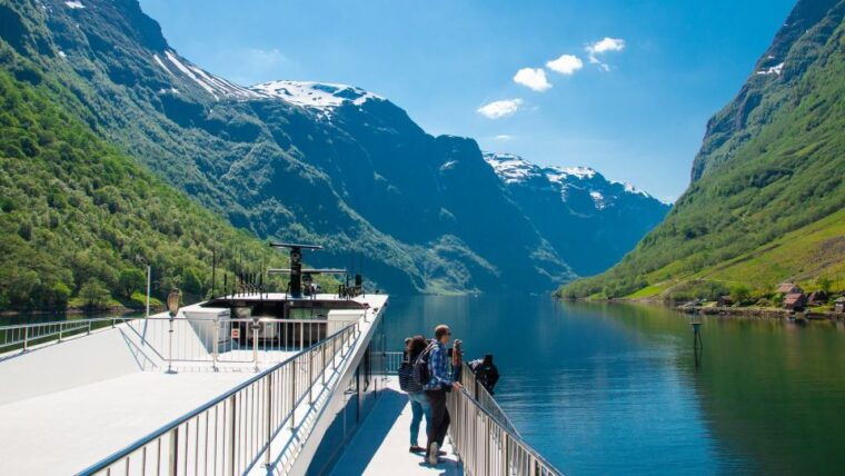 Bergen: Nærøyfjord Cruise and Flåm Railway Ride to Oslo - Authentic Experiences and Feedback from Reviewers