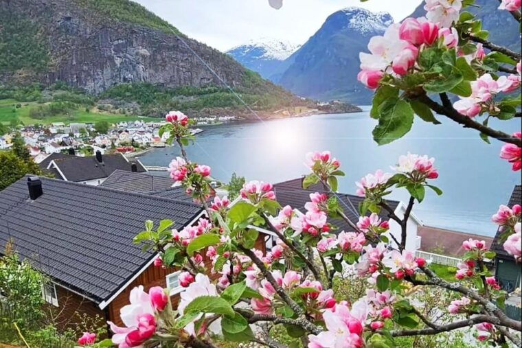 Bergen: Nærøyfjord Cruise & Flåm Railway Day Trip to Oslo - Who Will Love This Tour?