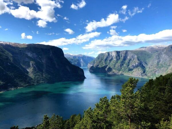 Bergen: Nærøyfjord, Flåm, and Stegastein Guided Bus Tour - Customer Feedback