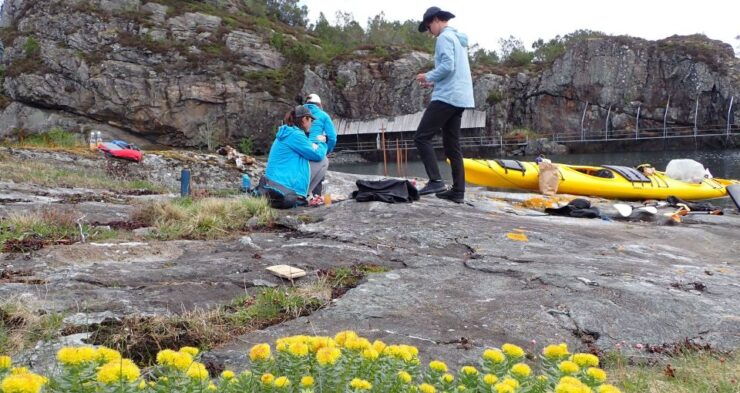 Bergen: Øygarden Islets Guided Kayaking Tour - Tour Information